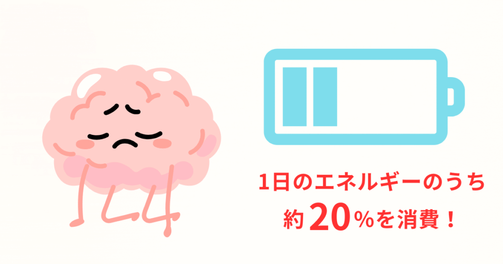 一日に20%のエネルギーを消費する脳